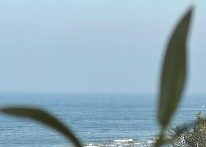 Apartamento Baltic Infinity Garden 316 - & Pool Access